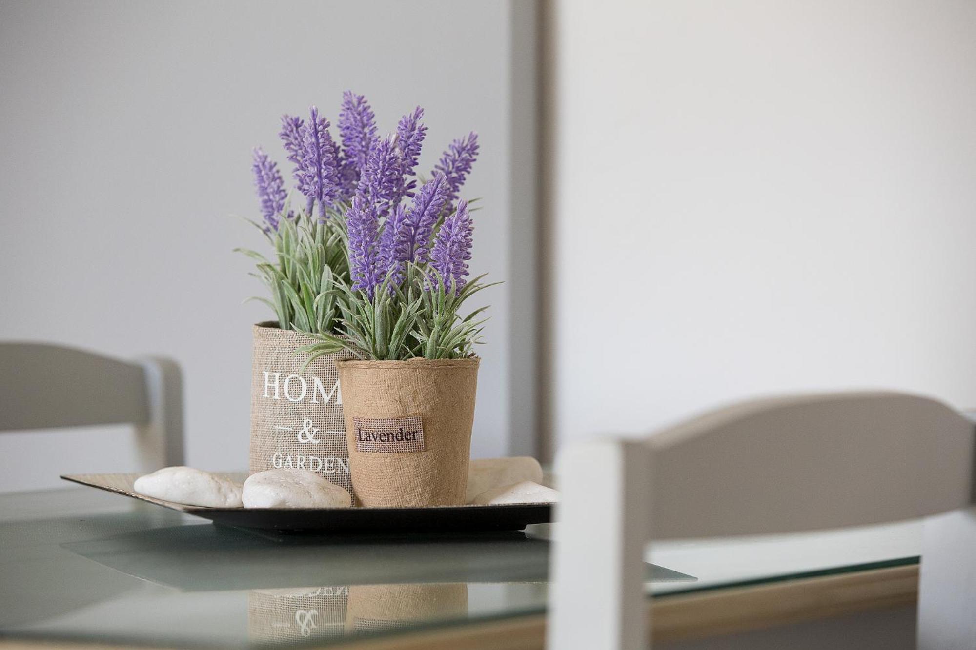 Appartement Elleana Corfu à Ágios Geórgios Extérieur photo